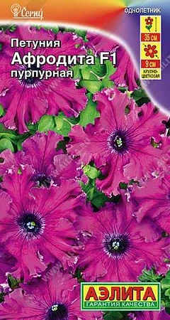 Петуния Афродита F1 пурпурная крупноцветковая бахромчатая, 10 шт Петуния Афродита F1 пурпурная крупноцветковая бахромчатая, 10 шт