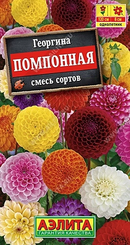 Георгина помпонная, смесь сортов 0,25 гр Георгина помпонная, смесь сортов 0,25 гр