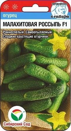 Огурец Малахитовая россыпь F1, 7 шт (Сиб Сад)