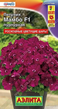 Петуния Мамбо F1 пурпурная многоцветковая 7 шт
