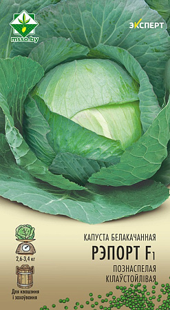 Капуста белокочанная Репорт F1, 12 шт (МССО)