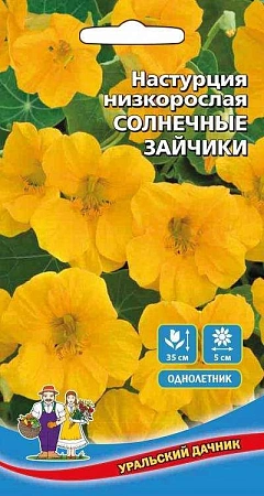 Настурция Солнечные зайчики низкорослая (УД)