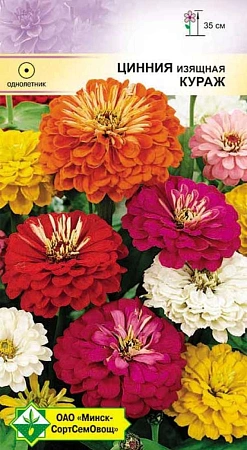 Цинния изящная Кураж, смесь 0,3 г (МССО) Цинния изящная Кураж, смесь 0,3 г (МССО)