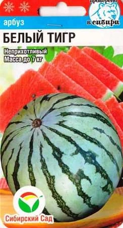 Арбуз Белый тигр 5 шт Арбуз Белый тигр 5 шт