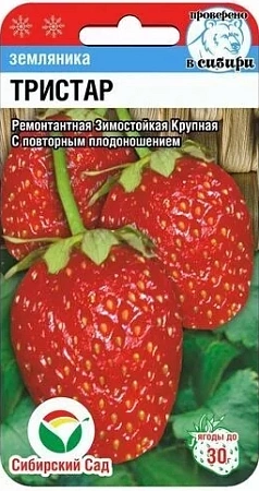Земляника Тристар, 10 шт Земляника Тристар, 10 шт