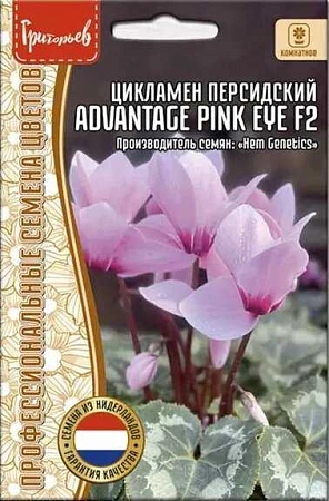 Цикламен Advantage Pink Eye F2, 3 шт (Ред.Сем)
