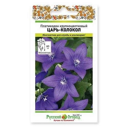 Платикодон Царь-колокол крупноцветковый многолетник, 8 шт (НК)