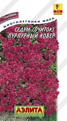 Седум Пурпурный ковер 0,02 г (АЭЛИТА) Седум Пурпурный ковер 0,02 г (АЭЛИТА)