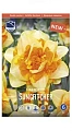 Нарцисс Suncatcher Нарцисс Suncatcher