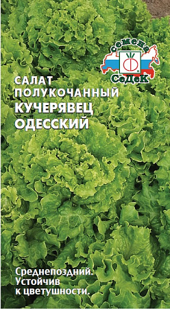Салат Кучерявец Одесский, 0,5 г (Седек) Салат Кучерявец Одесский, 0,5 г (Седек)