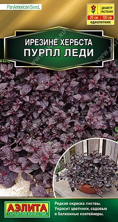 Ирезине Пурпл леди 5 шт (АЭЛИТА) Ирезине Пурпл леди 5 шт (АЭЛИТА)