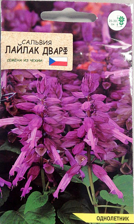 Сальвия Лайлак Дварф, 10 шт (Агромаркет)