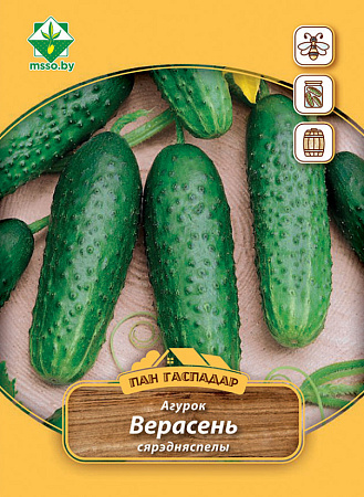 Огурец Верасень, 3 г (Пан Гаспадар) (МССО) Огурец Верасень, 3 г (Пан Гаспадар) (МССО)