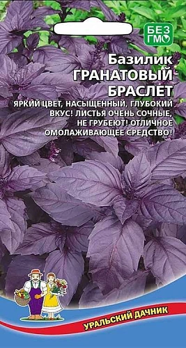 Базилик Гранатовый браслет (УД) Базилик Гранатовый браслет (УД)