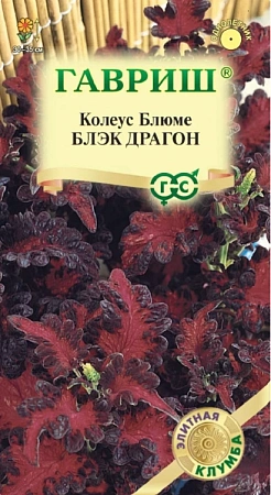 Колеус Блэк драгон, 4 шт (ГАВРИШ)