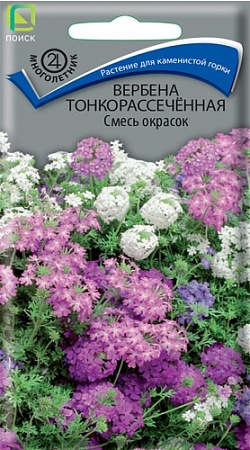Вербена тонкорассеченная Смесь окрасок, 0,02 г (Поиск)