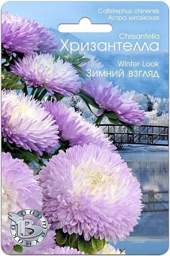 Астра Хризантелла Зимний взгляд, 30 шт (Биотехника) Астра Хризантелла Зимний взгляд, 30 шт (Биотехника)