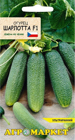 Огурец Шарлотта F1, 7 шт (Агромаркет)