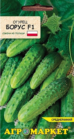 Огурец Борус F1, 1 г (Агромаркет)