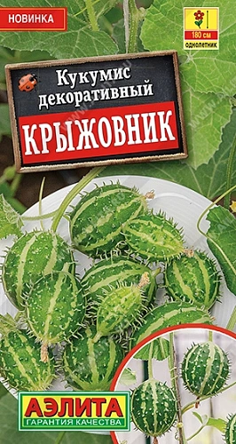 Кукумис декоративный Крыжовник, 5 шт (Аэлита) Кукумис декоративный Крыжовник, 5 шт (Аэлита)