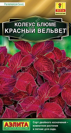 Колеус блюме Красный вельвет, 10 шт (АЭЛИТА) Колеус блюме Красный вельвет, 10 шт (АЭЛИТА)