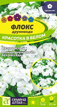 Флокс Красотка в белом друммонда 0,1 г