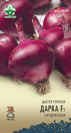 Лук репчатый Дарко F1, 75 шт (Эксперт) (МССО)