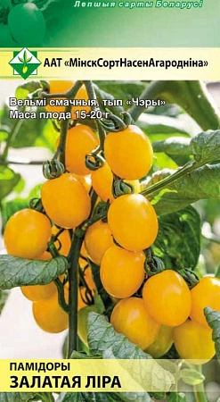 Томат черри Золотая лира, 15 шт (МССО)