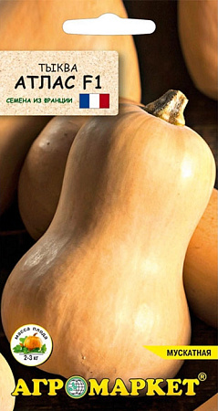 Тыква Атлас F1, 5 шт (Агромаркет)