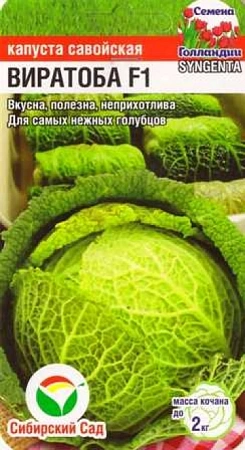 Капуста савойская Виратоба F1 10 шт
