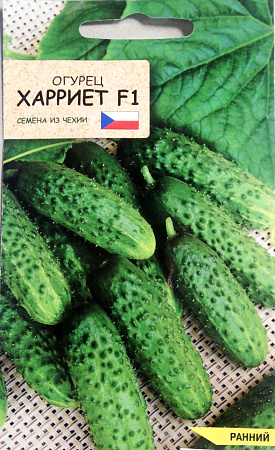 Огурец Харриет F1, 7 шт (Агромаркет)