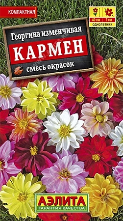 Георгина Кармен, смесь 10 шт (АЭЛИТА)