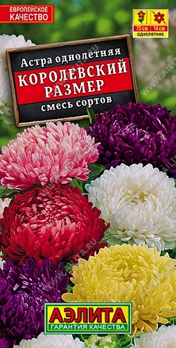 Астра Королевский размер, смесь 0,1 г (АЭЛИТА) Астра Королевский размер, смесь 0,1 г (АЭЛИТА)