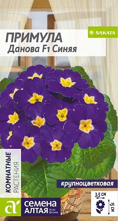 Примула Данова Синяя F1, 5 шт Примула Данова Синяя F1, 5 шт