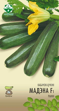 Кабачок Модена F1, 6 шт (Эксперт) (МССО) Кабачок Модена F1, 6 шт (Эксперт) (МССО)