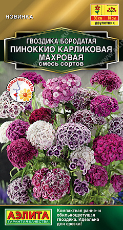 Гвоздика Пиноккио карликовая махровая, смесь сортов 0,1 г (Аэлита)