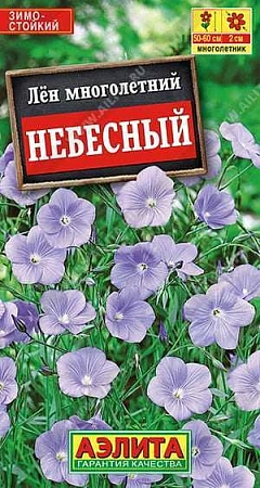 Лен Небесный многолетний 0,5 г (АЭЛИТА) Лен Небесный многолетний 0,5 г (АЭЛИТА)