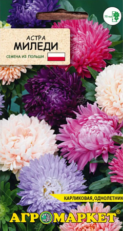 Астра китайская Миледи, смесь 0,5 г (Агромаркет) Астра китайская Миледи, смесь 0,5 г (Агромаркет)