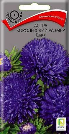 Астра королевский размер Синяя 0,1 г (Поиск)