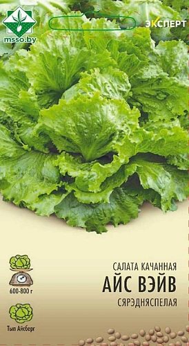 Салат Айс Вейв кочанный, 20 шт (МССО) Салат Айс Вейв кочанный, 20 шт (МССО)