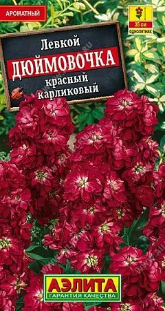 Левкой карликовый Дюймовочка красный 0,1 г (АЭЛИТА)