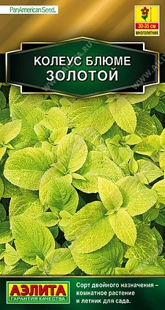 Колеус блюме Золотой 10 шт (АЭЛИТА)