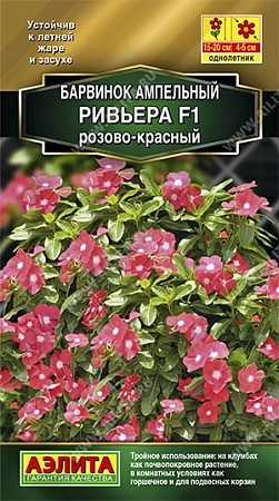Барвинок Ривьера F1 розово-красный, 5 шт