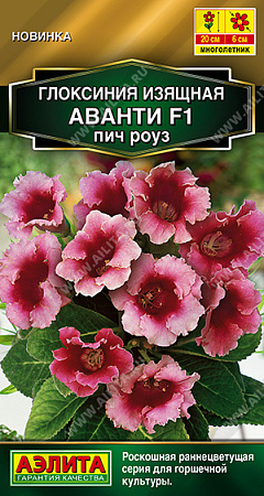 Глоксиния Аванти F1 пич роуз, 5 шт (Аэлита)