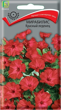 Мирабилис (ялапа) Красный леденец, 1 г (Поиск)