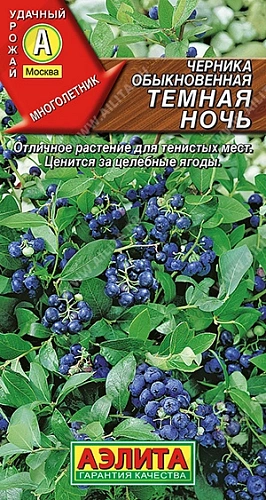 Черника обыкновенная Темная ночь Черника обыкновенная Темная ночь