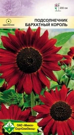 Подсолнечник Бархатный король 1 г (МССО) Подсолнечник Бархатный король 1 г (МССО)