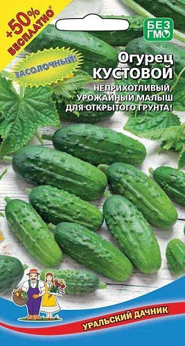 Огурец Кустовой (УД) Огурец Кустовой (УД)