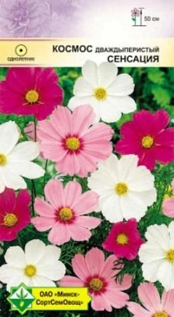 Космос дважды перистый Сенсация, смесь 0,5 г Космос дважды перистый Сенсация, смесь 0,5 г