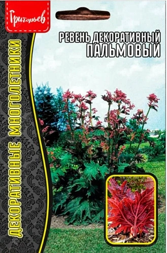 Ревень декоративный Пальмовый, 0,1 г (Ред сем) Ревень декоративный Пальмовый, 0,1 г (Ред сем)